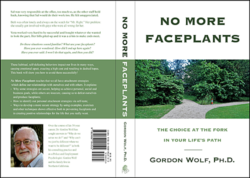 No More Faceplants book cover